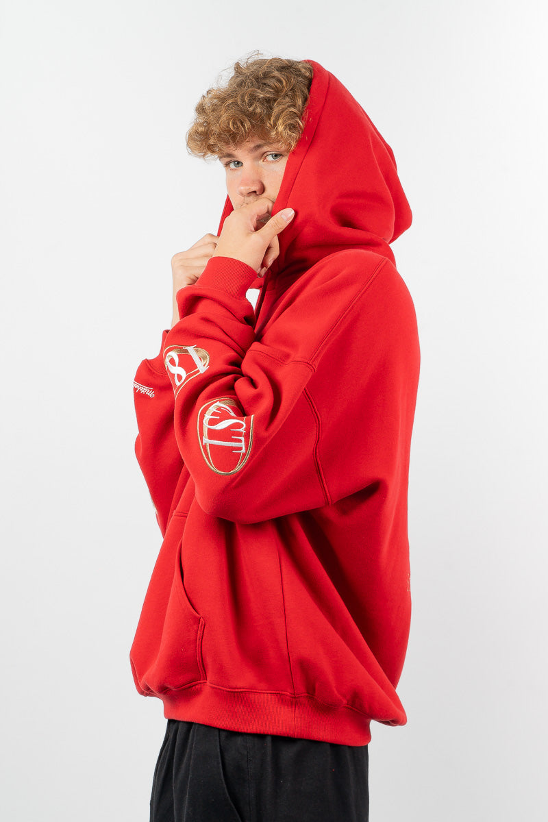 British & Irish Lions Team Hoodie