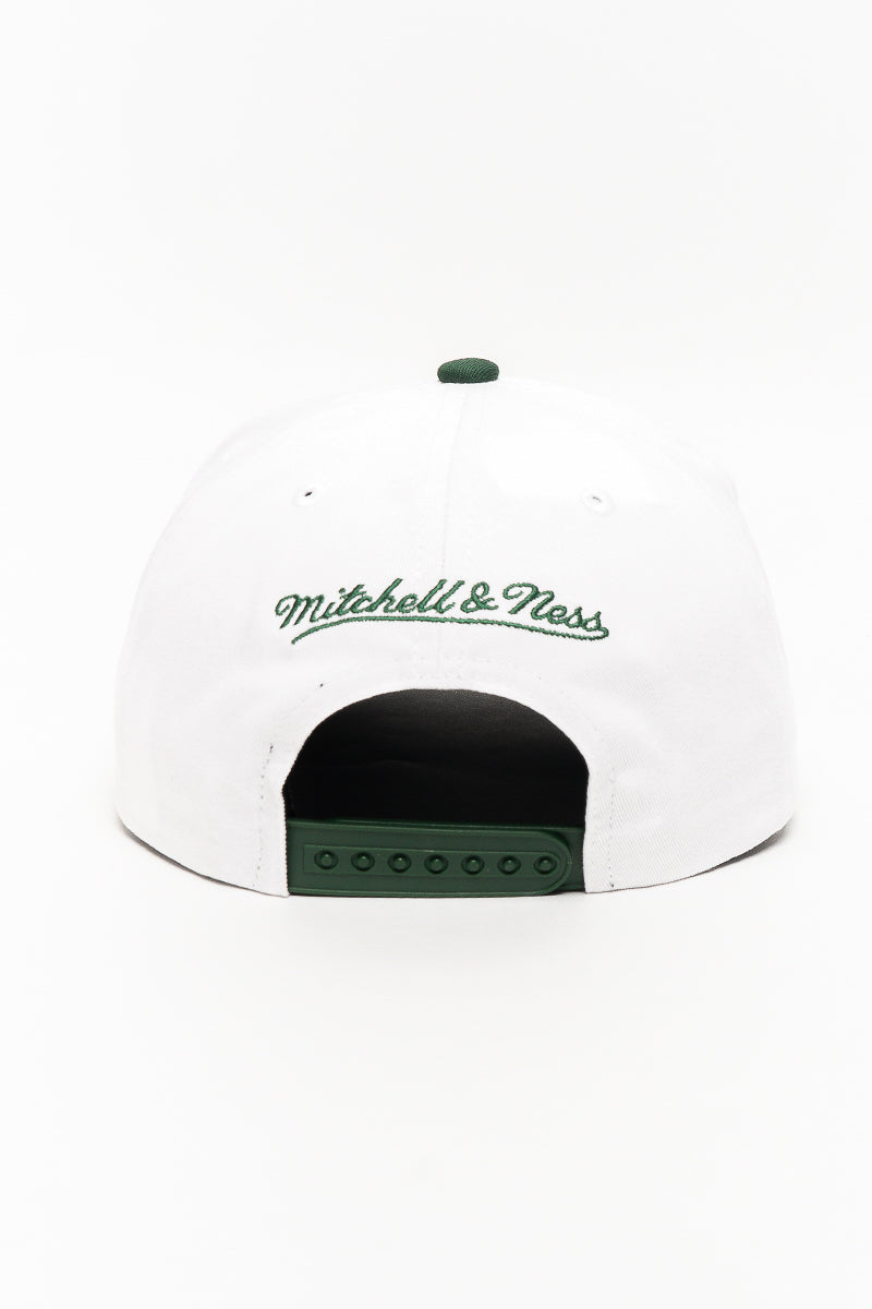Boston Celtics World Wide Cap
