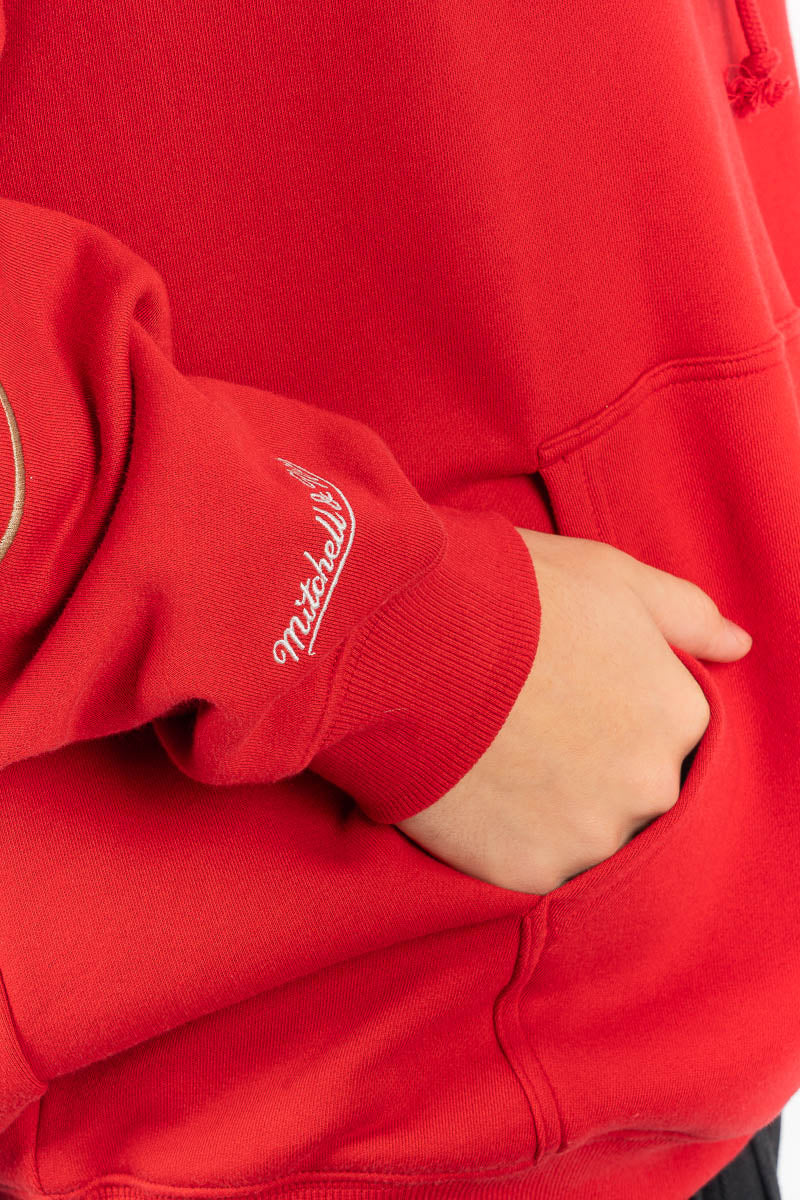 British & Irish Lions Team Hoodie