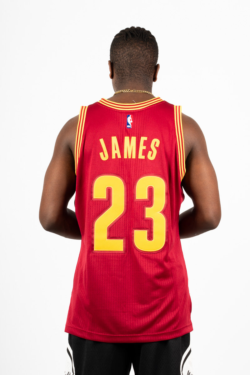 LeBron James Cleveland Cavaliers Authentic Hardwood Classic Jersey