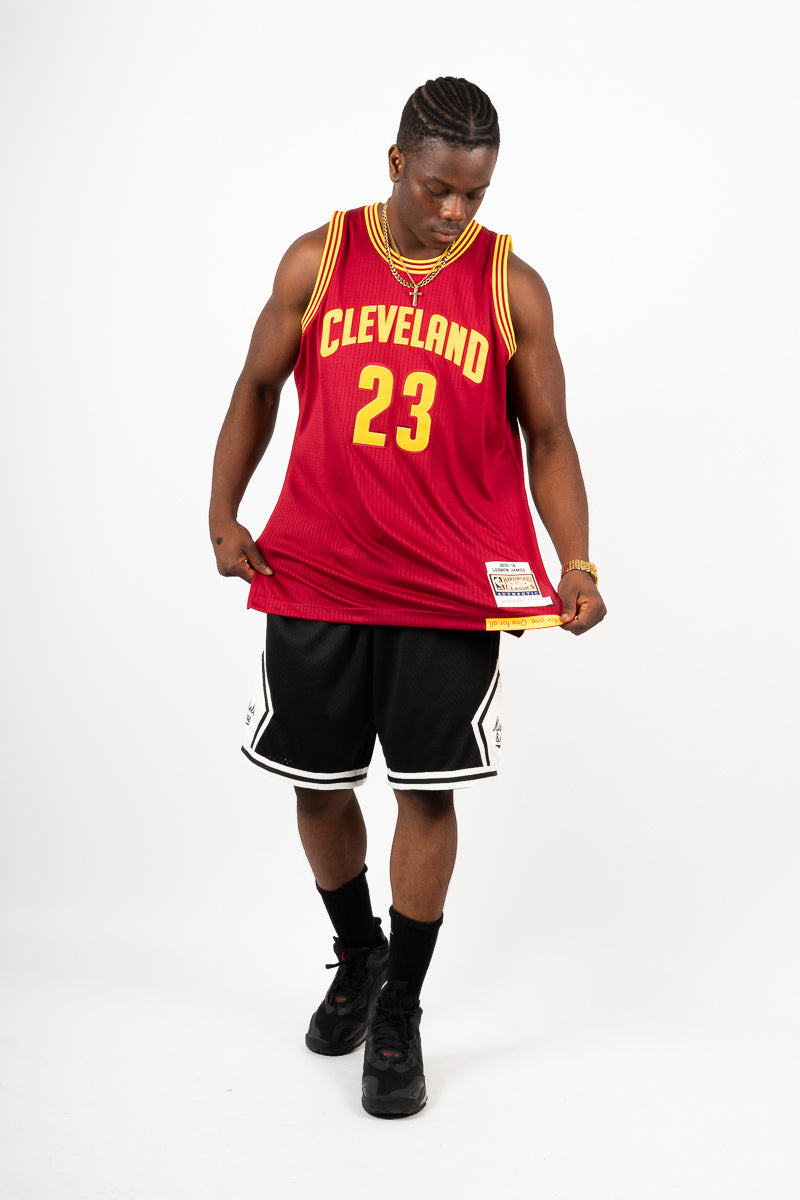 LeBron James Cleveland Cavaliers Authentic Hardwood Classic Jersey