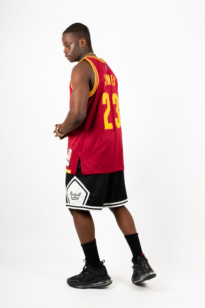 LeBron James Cleveland Cavaliers Authentic Hardwood Classic Jersey