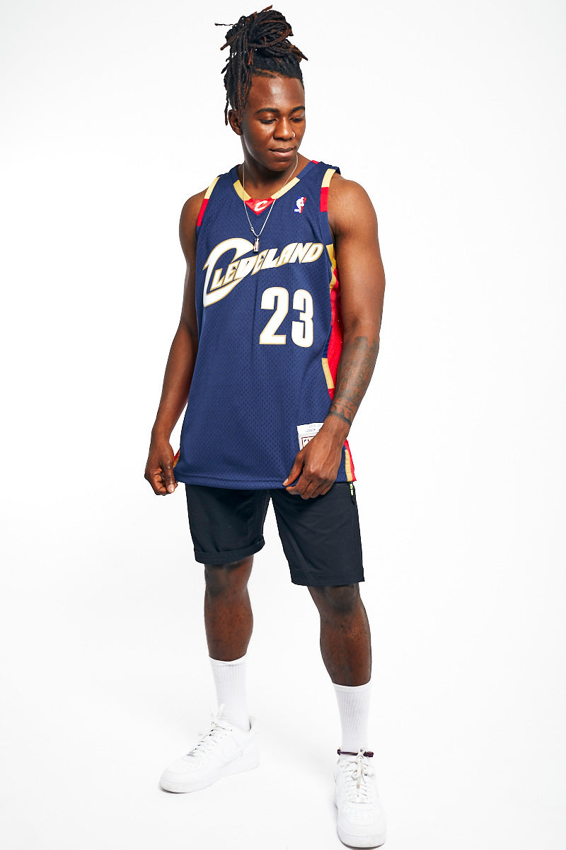 LeBron James 08-09 Cleveland Cavaliers Hardwood Classic Swingman NBA Jersey