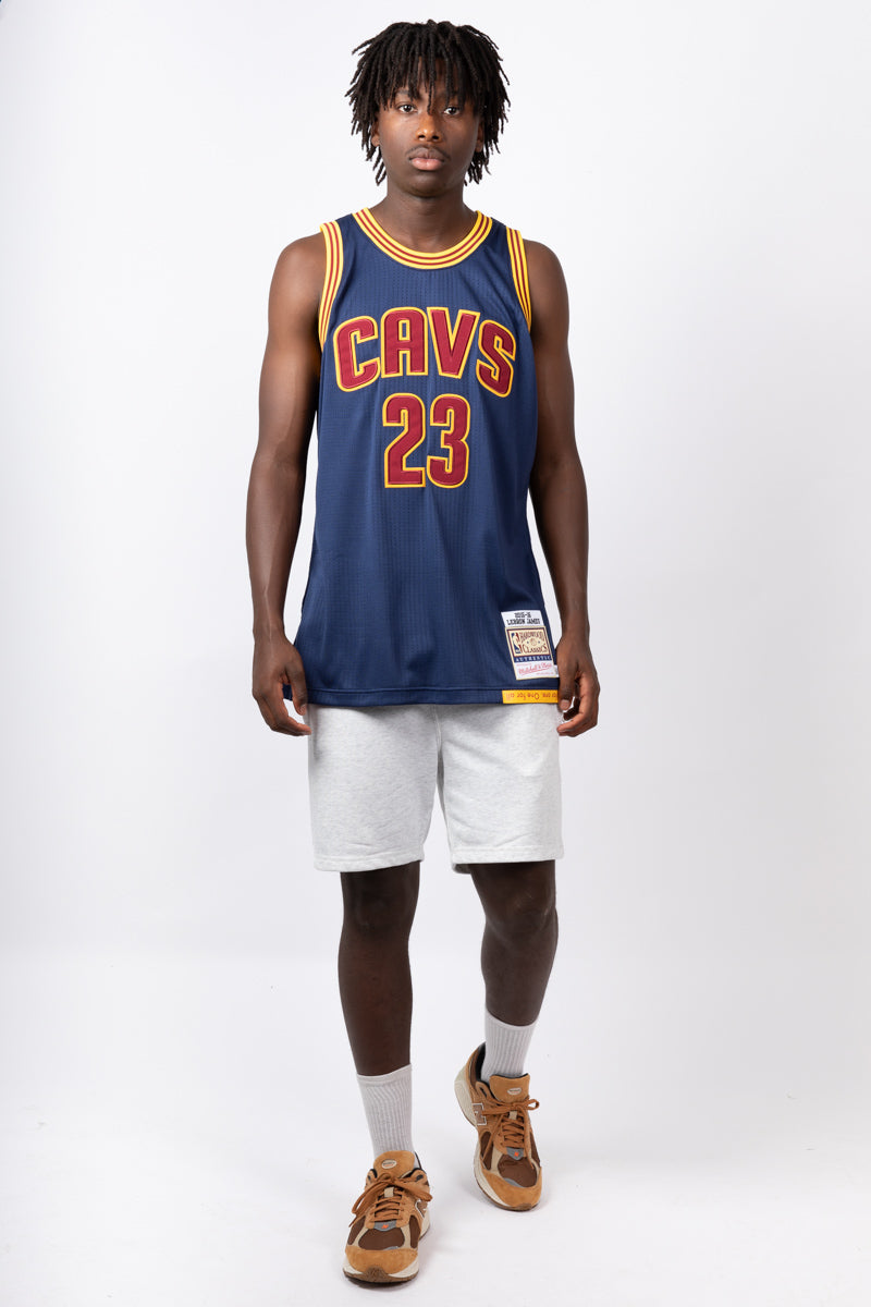 LeBron James Cleveland Cavaliers 15-16 Authentic Hardwood Classic Swingman Jersey
