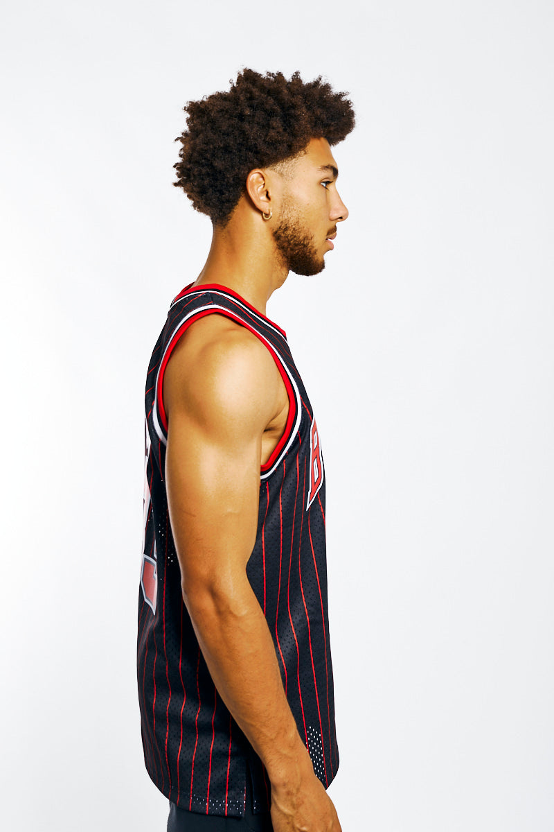 Scottie Pippen 95-96 Hardwood Classic Swingman NBA Jersey - Mens