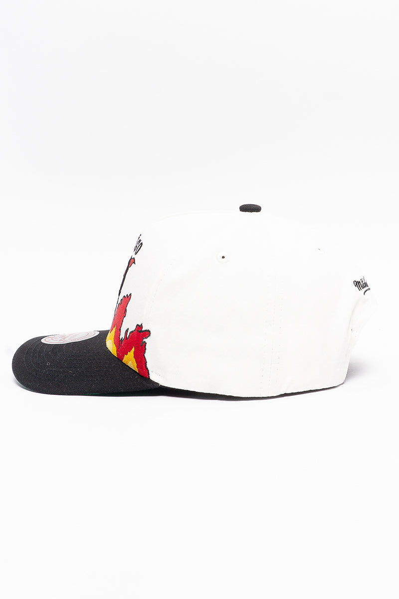 Chicago Bulls Flame Pro Pinch