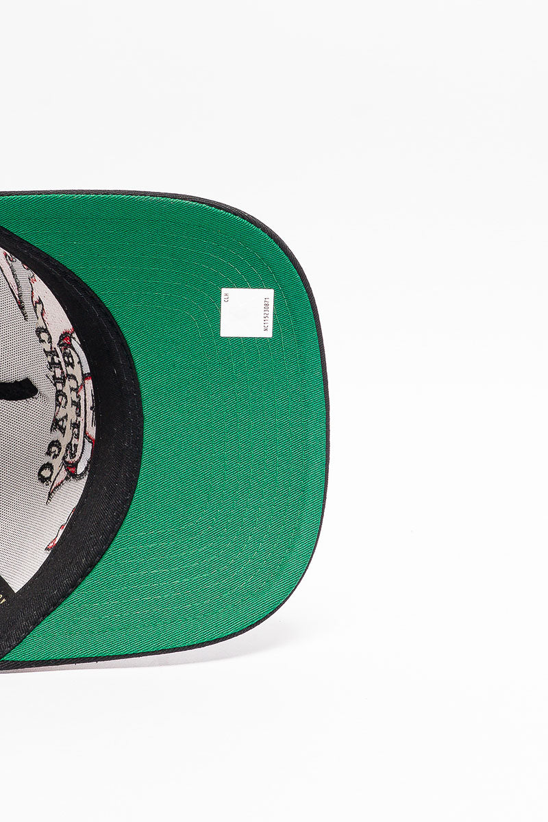 Chicago Bulls Flame Pro Pinch