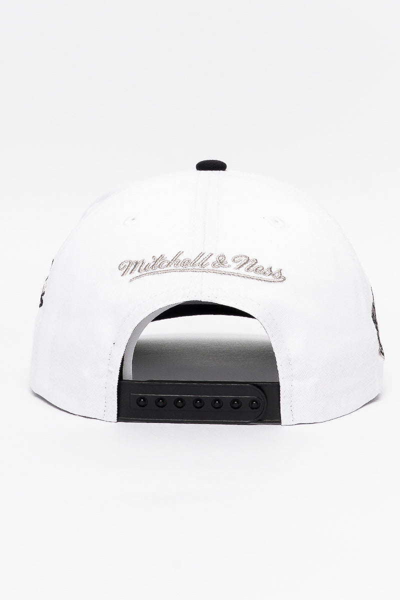 Chicago Bulls Coaches Origins Cap