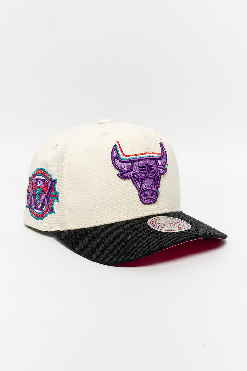 Chicago Bulls Multi-Colour Logo Cap
