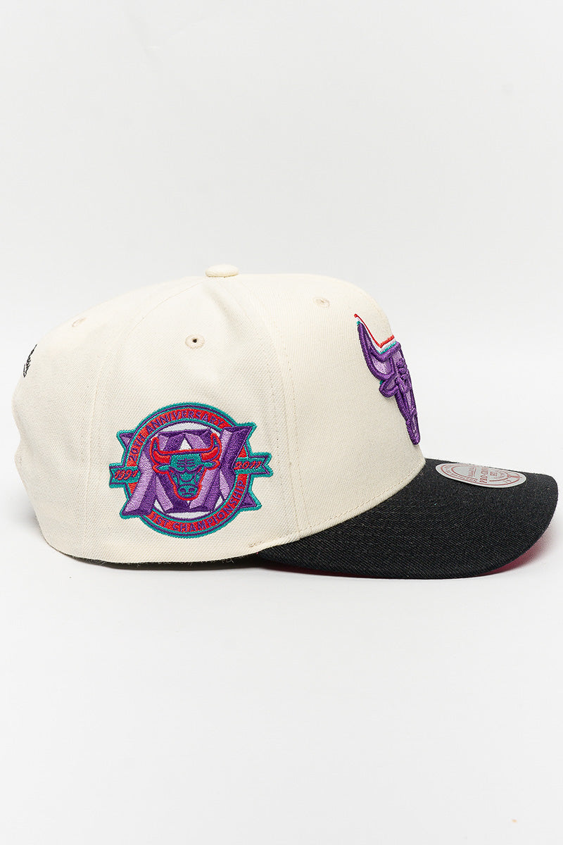 Chicago Bulls Multi-Colour Logo Cap