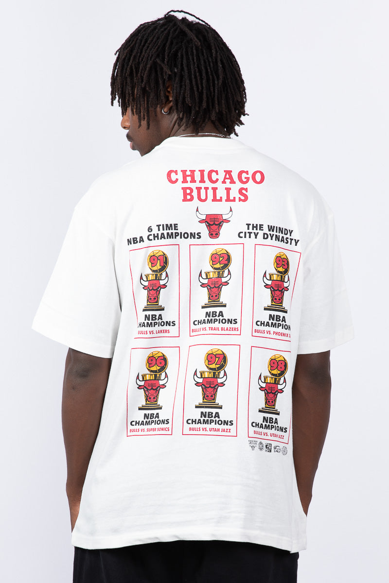 Chicago Bulls Stadium Banner Tee
