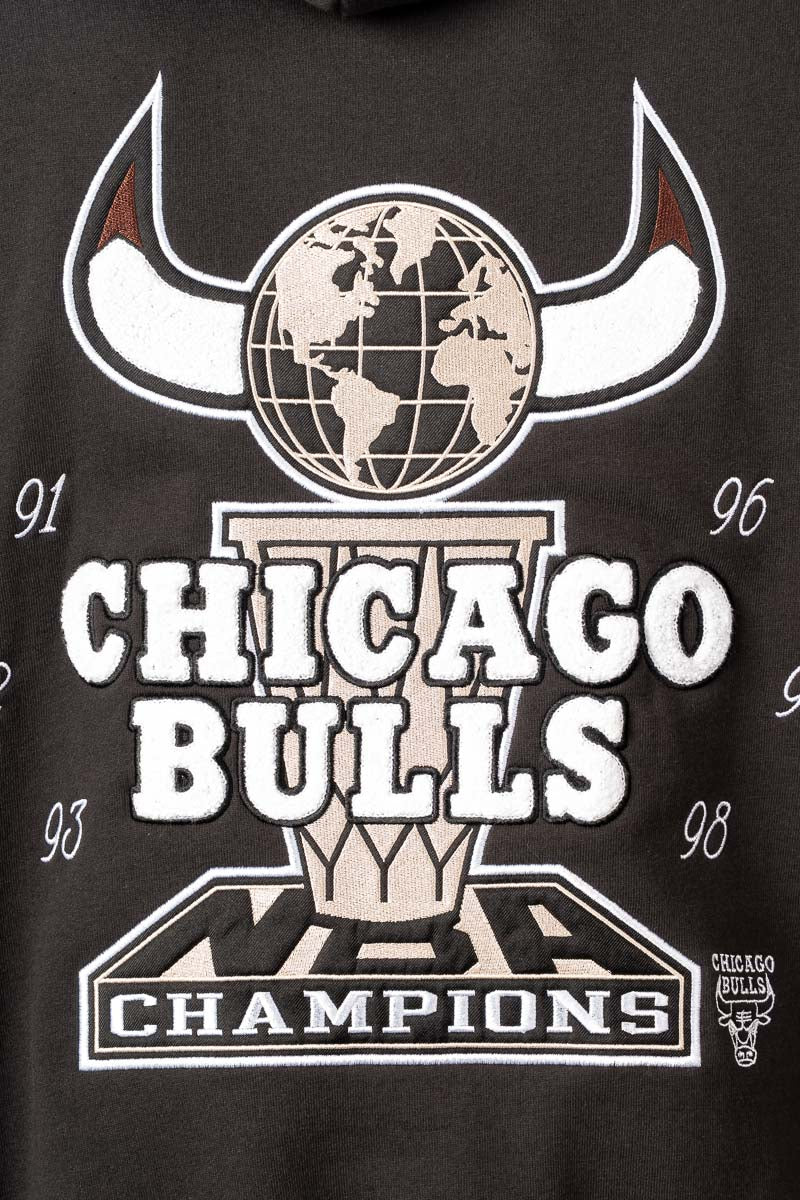 Chicago Bulls World Champions Hoodie