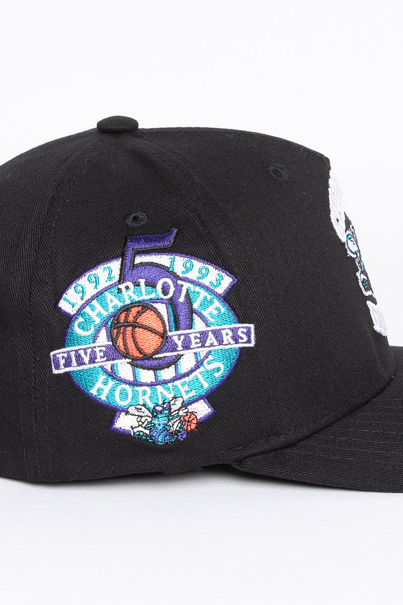 Charlotte Hornets Colour Team Logo Pinch Snapback