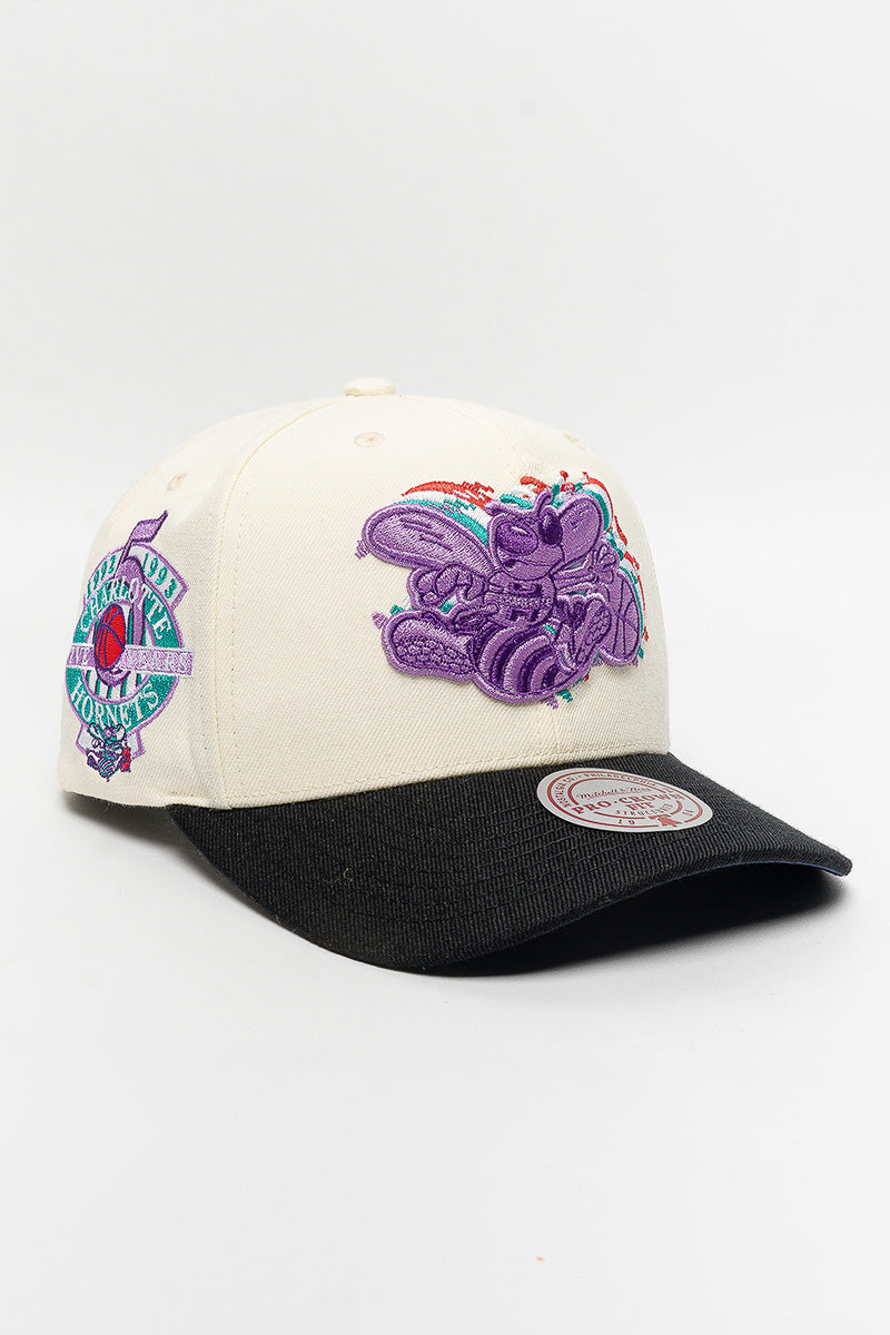 Charlotte Hornets Multi-Colour Logo Cap