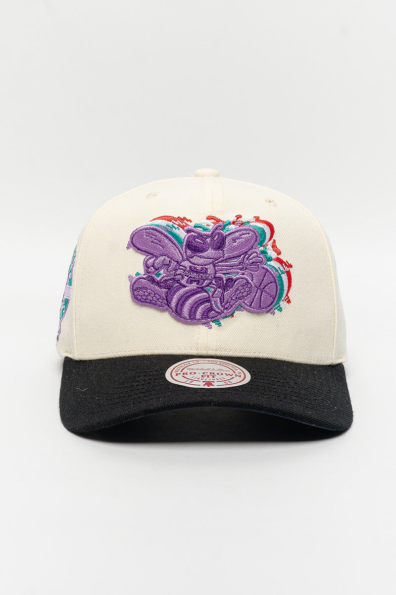 Charlotte Hornets Multi-Colour Logo Cap