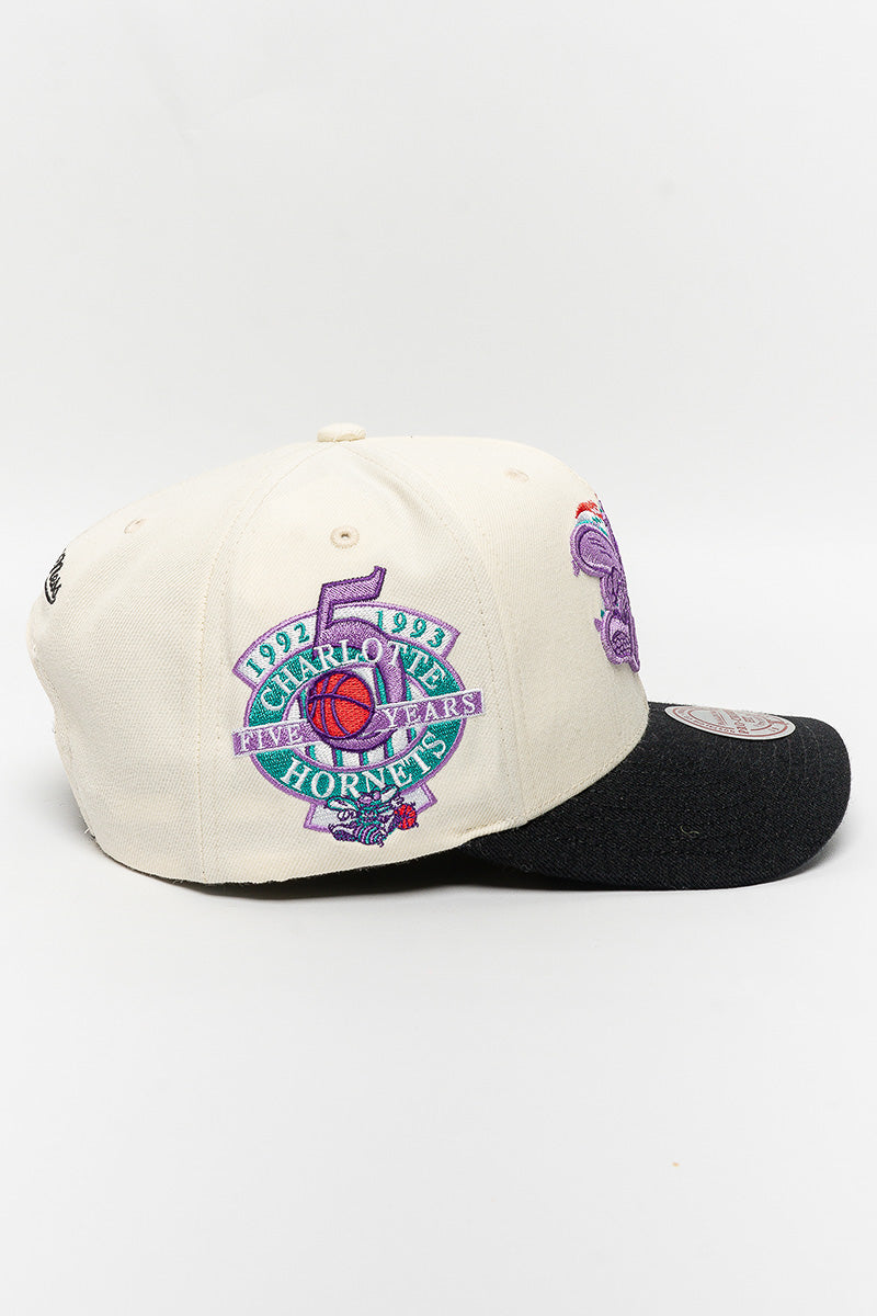 Charlotte Hornets Multi-Colour Logo Cap