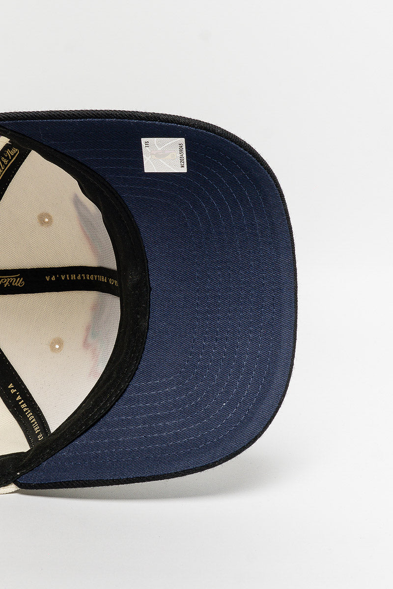 Charlotte Hornets Multi-Colour Logo Cap