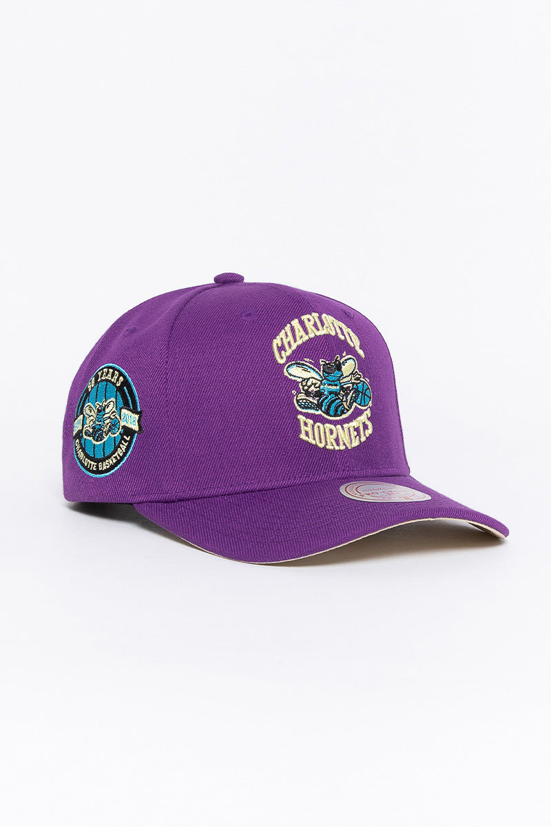 Charlotte Hornets Plum Pro Crown Snapback