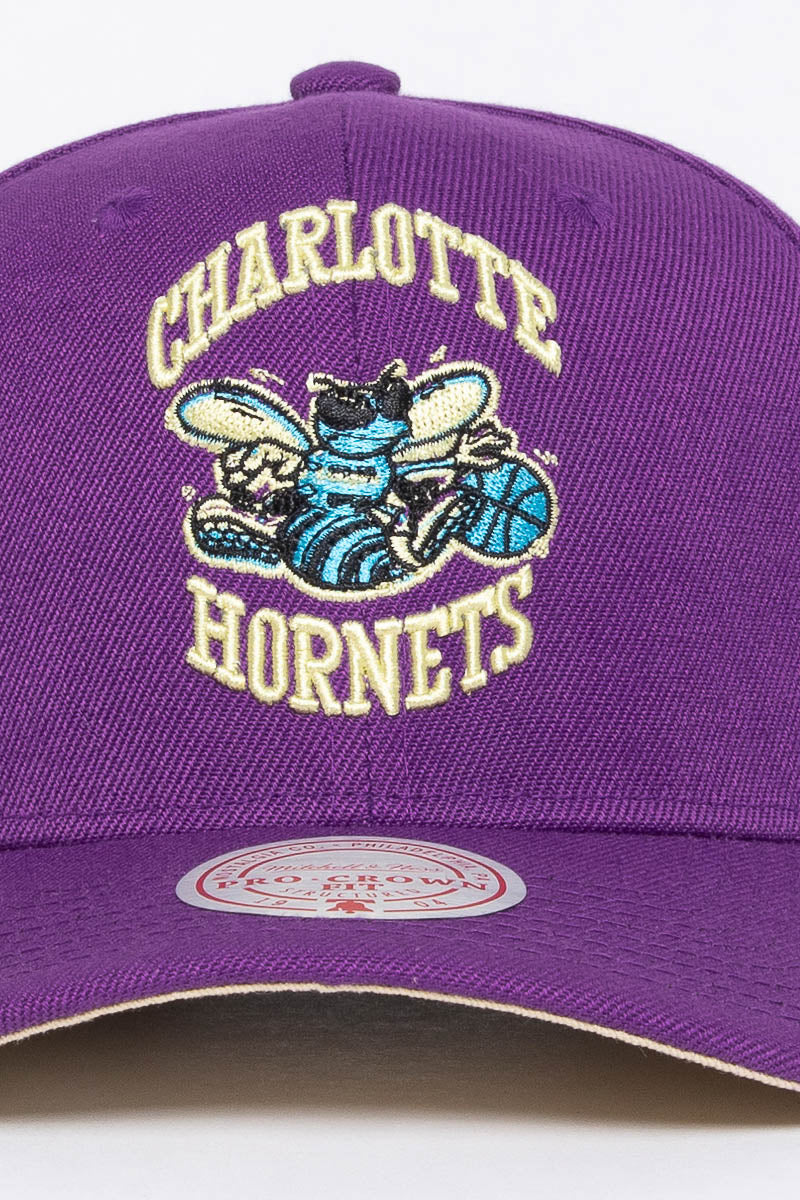 Charlotte Hornets Plum Pro Crown Snapback