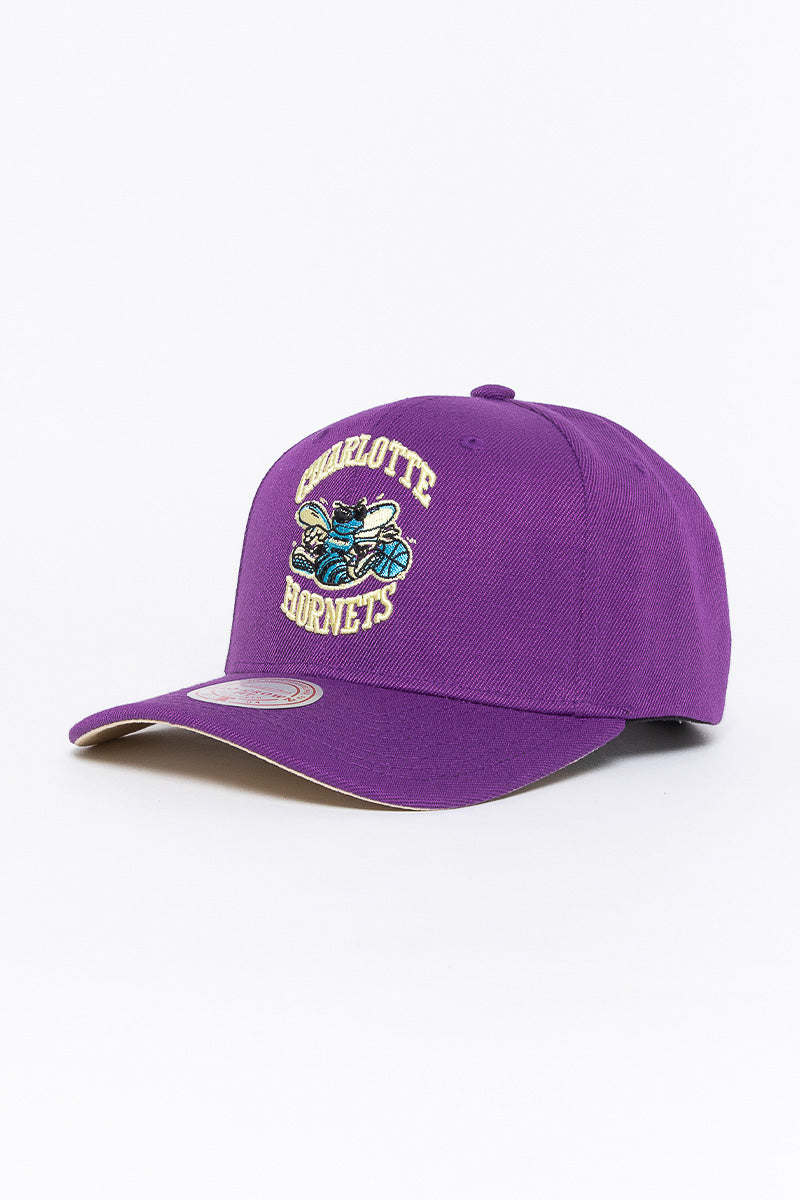 Charlotte Hornets Plum Pro Crown Snapback