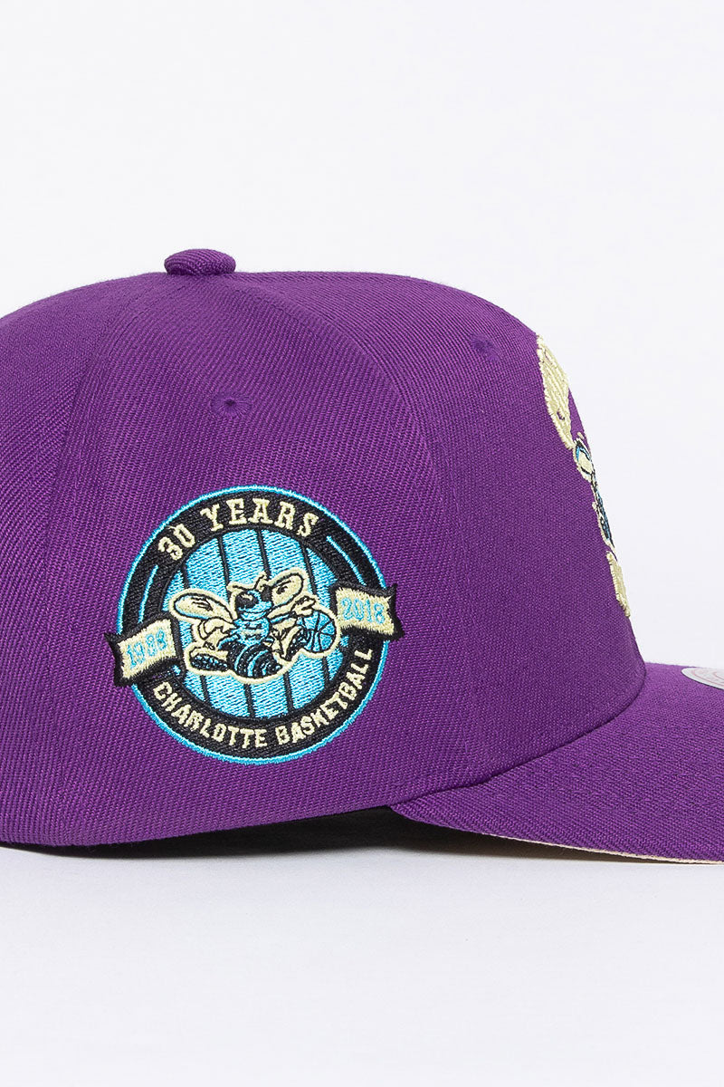 Charlotte Hornets Plum Pro Crown Snapback