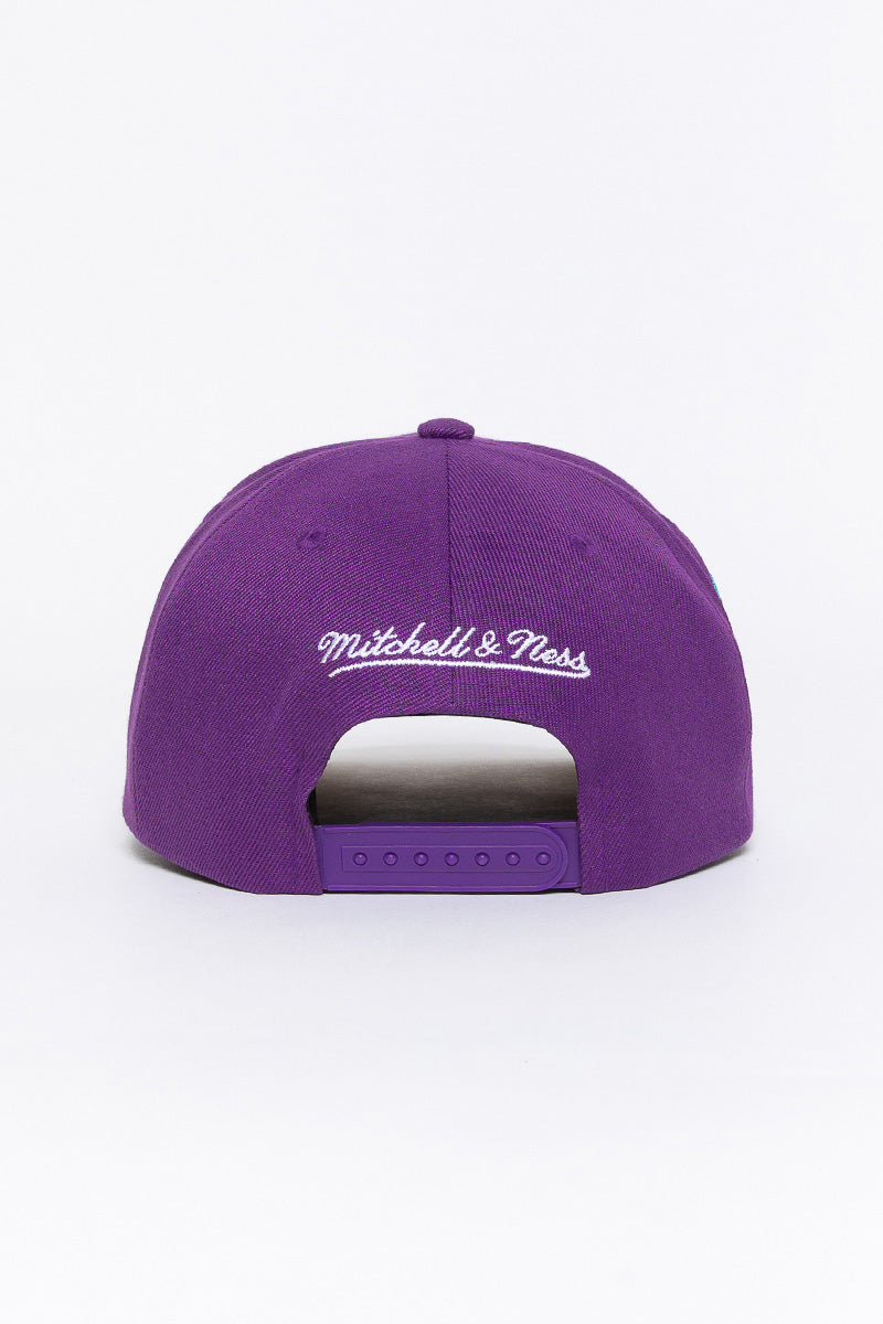 Charlotte Hornets Plum Pro Crown Snapback