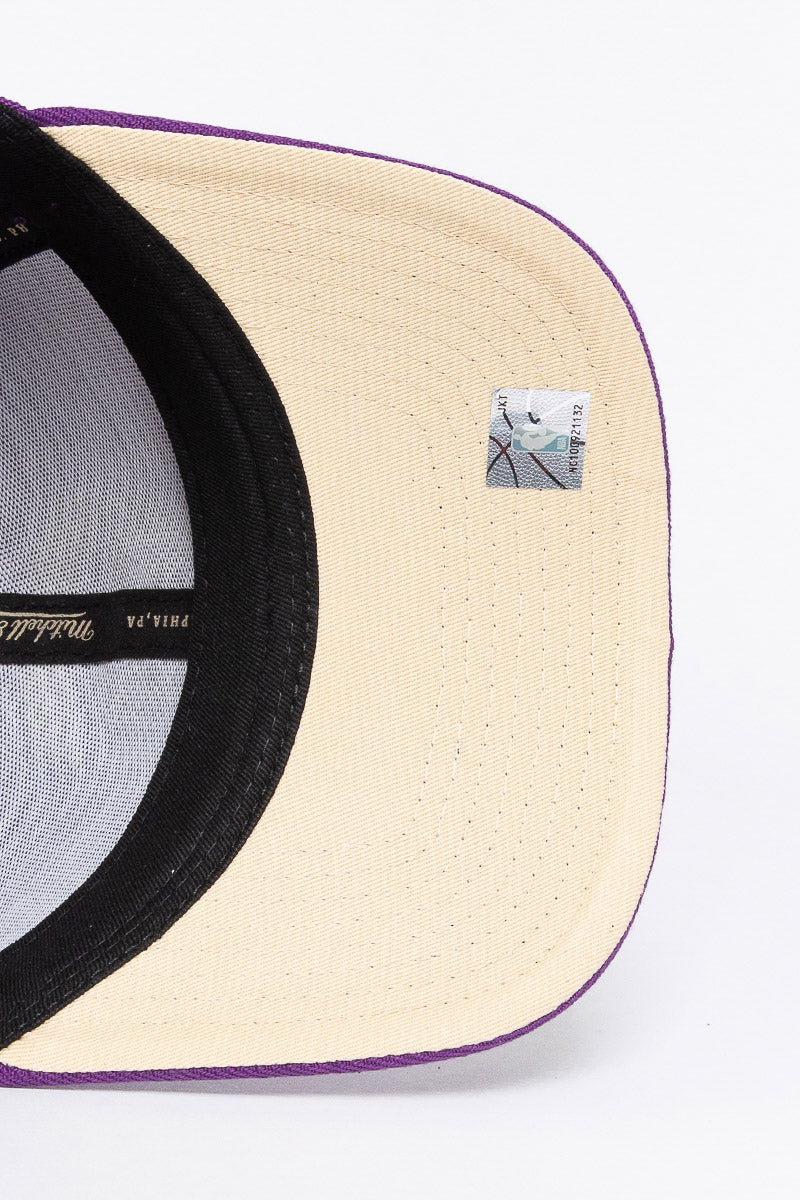 Charlotte Hornets Plum Pro Crown Snapback