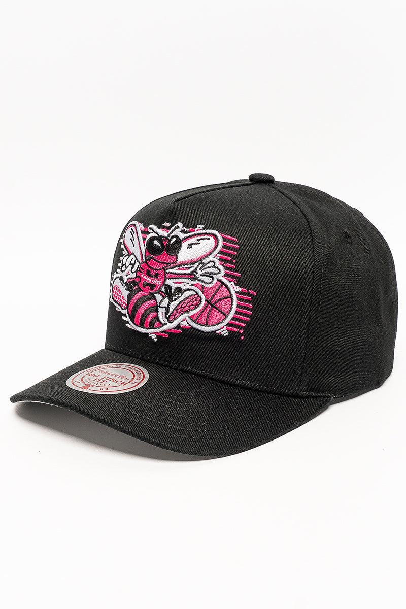 Charlotte Hornets X-Ray Pro Crown Caps