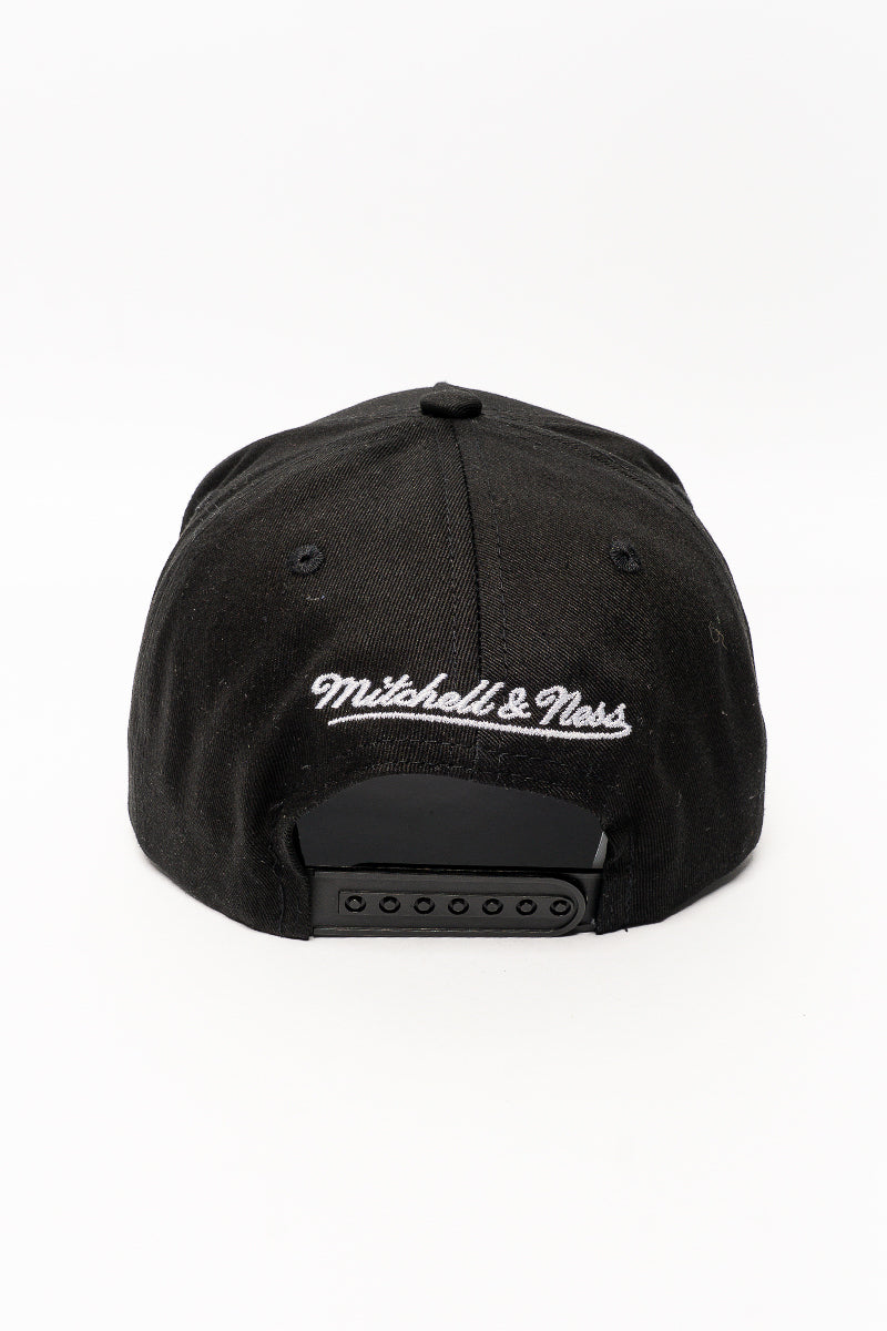 Charlotte Hornets X-Ray Pro Crown Caps