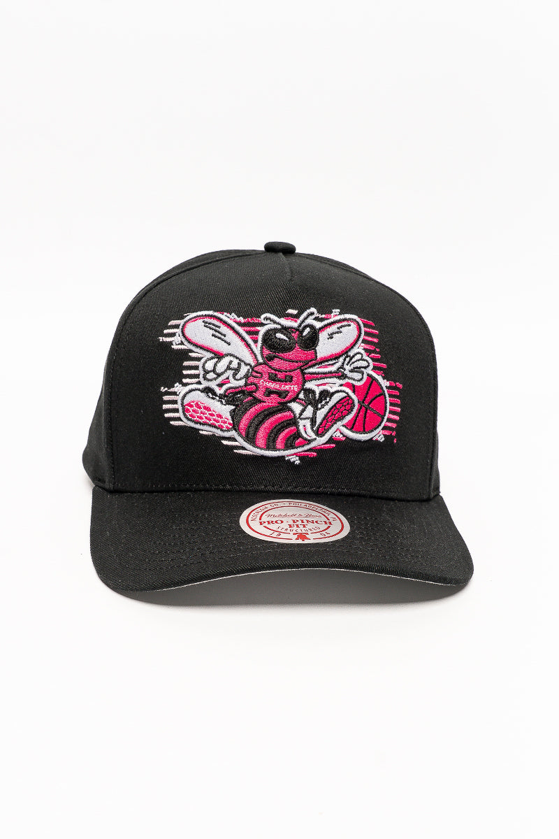 Charlotte Hornets X-Ray Pro Crown Caps