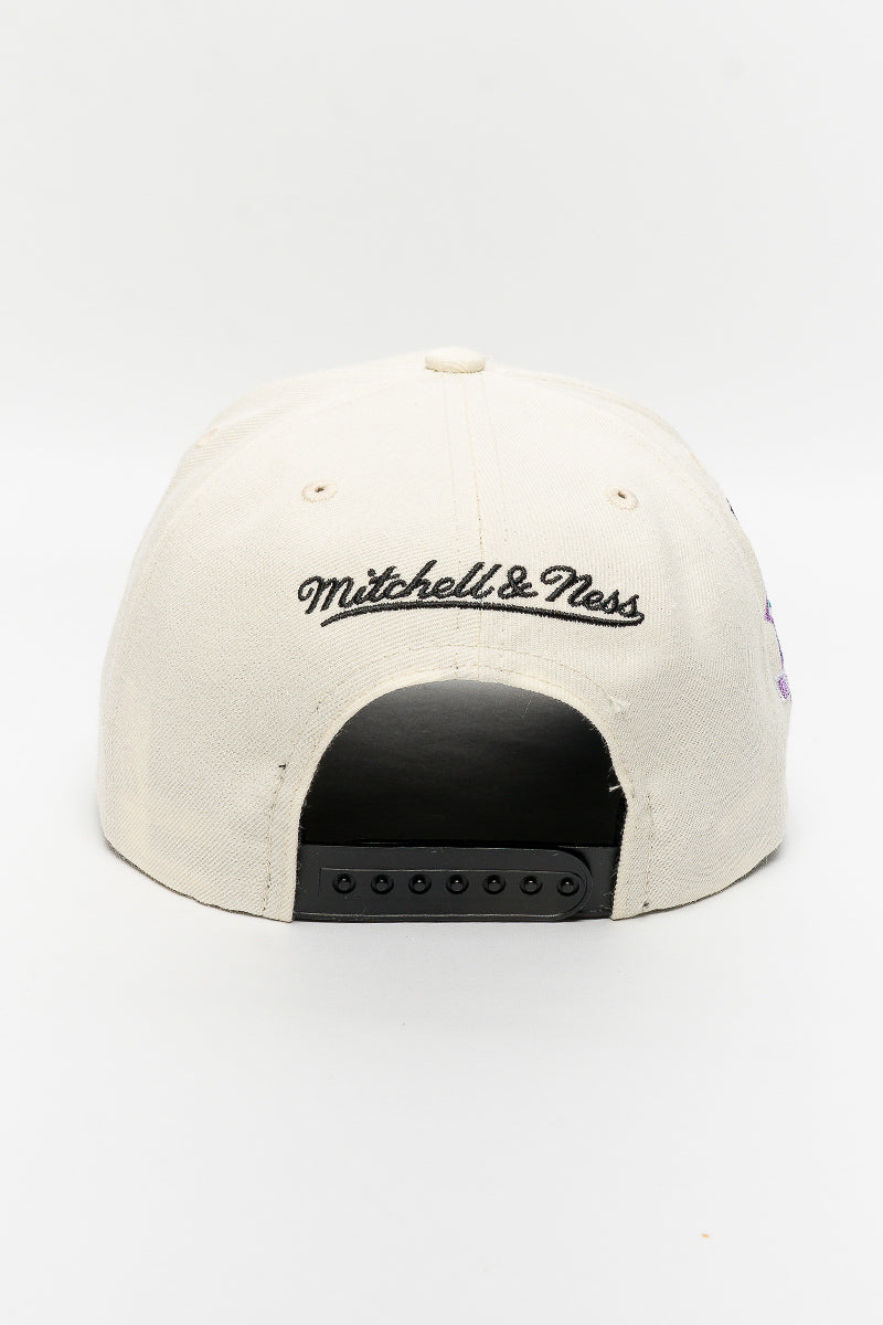 LA Lakers Multi-Colour Logo Cap