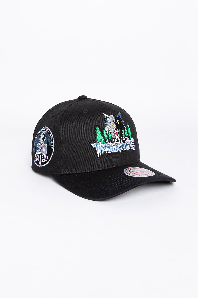 Minnesota Timberwolves Colour Team Logo Pinch Snapback