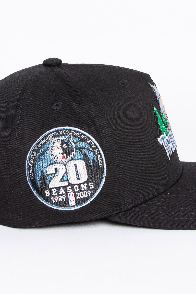 Minnesota Timberwolves Colour Team Logo Pinch Snapback