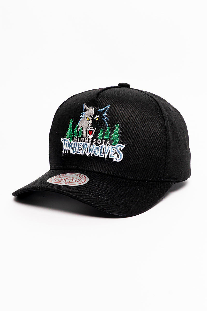 Minnesota Timberwolves Side Patch Pinch Cap