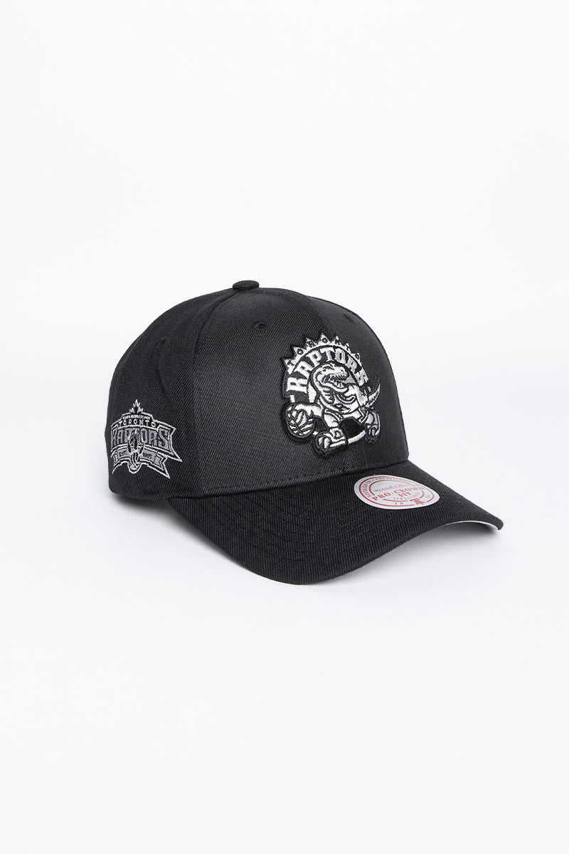 Toronto Raptors Silver Team Logo Snapback