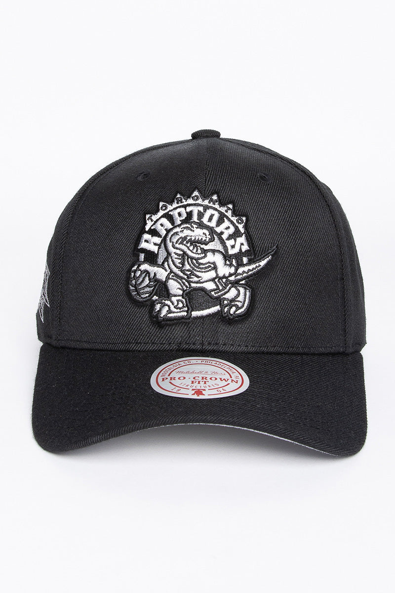 Toronto Raptors Silver Team Logo Snapback