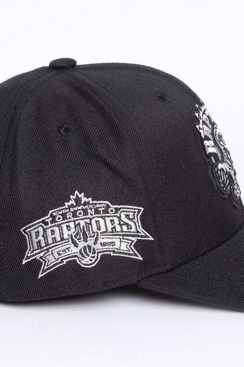 Toronto Raptors Silver Team Logo Snapback