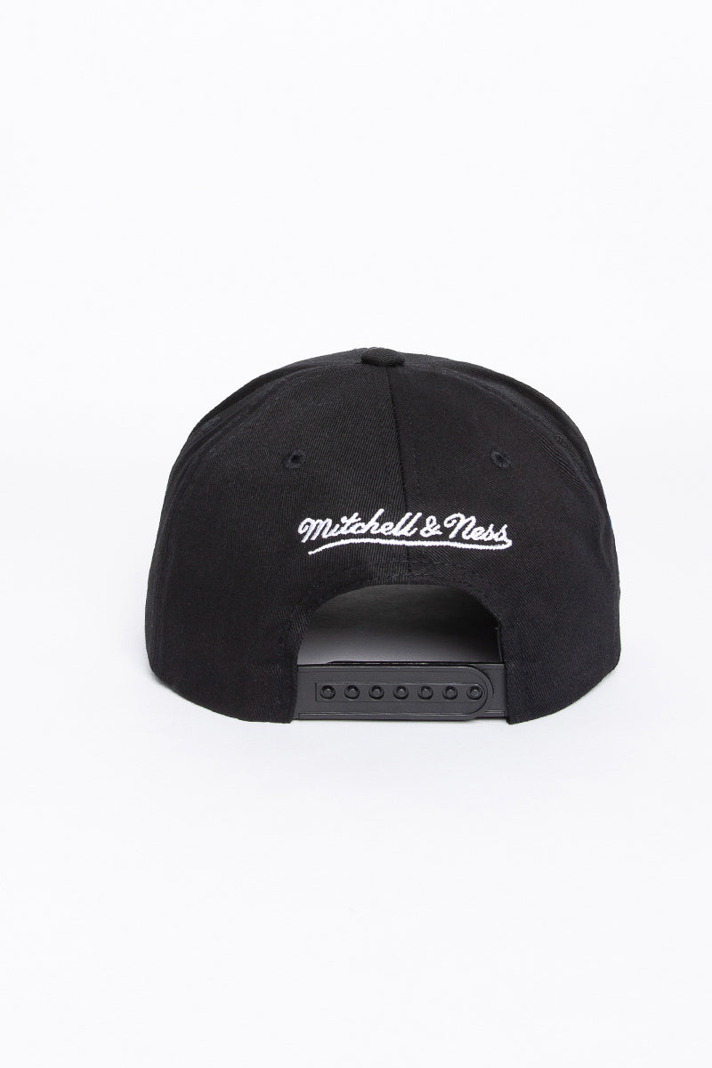 Toronto Raptors Silver Team Logo Snapback